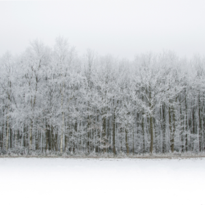 Detector de Metais na Neve: Os Cuidados Essenciais Para Evitar Danos e Curto-Circuito